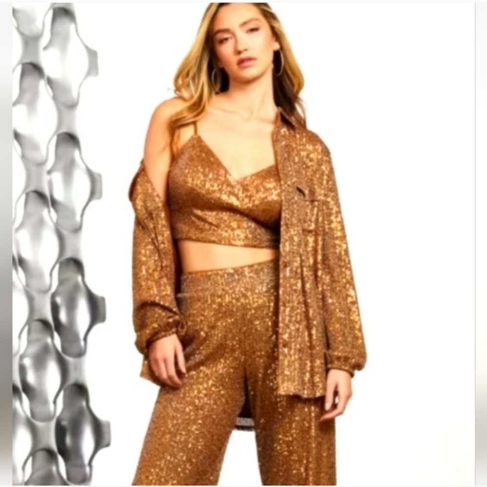 NWT Guess Wideleg Sequin Pallazzo Pants and Matching Camisole